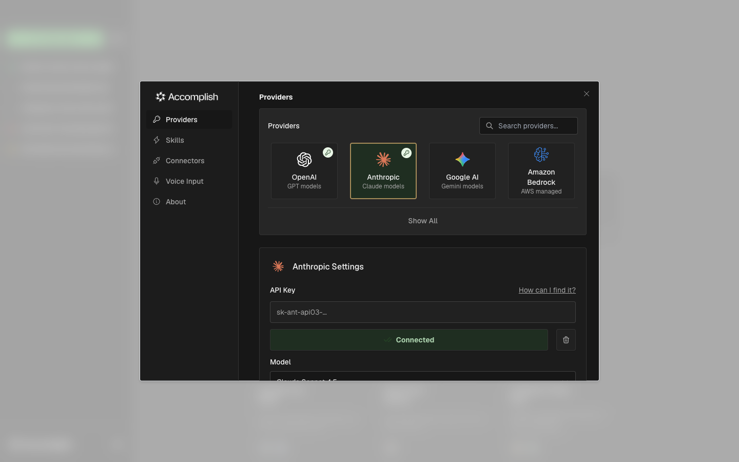 Settings providers tab showing provider grid and a selected provider configuration panel